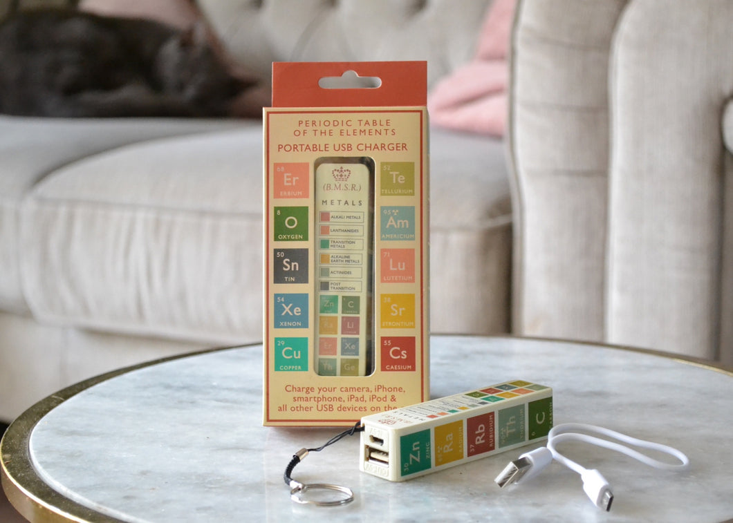 Portable USB charger